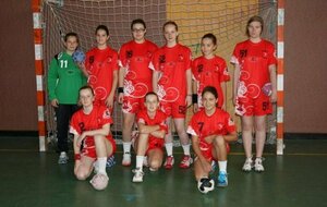 U15 féminines : Brienne Handball
Saison 2011-2012