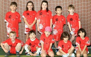 Ecole de Handball : Brienne Handball
Saison 2012-2013