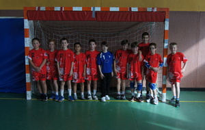 BRIENNE HANDBALL