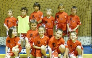 Ecole de Handball : Brienne Handball
Saison 2010-2011