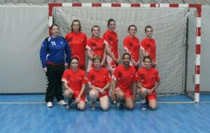 +15 féminines : Brienne Handball
Saison 2011-2012