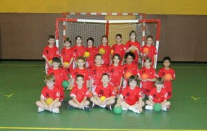 Ecole de Handball : Brienne Handball
Saison 2011-2012