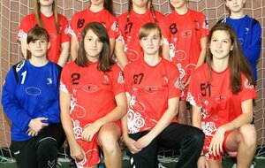 U17 féminines : Brienne Handball
Saison 2012-2013