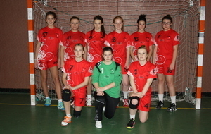 U18 féminines : Brienne Handball
Saison 2013-2014