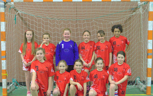 U12 féminines : Brienne Handball
Saison 2013-2014