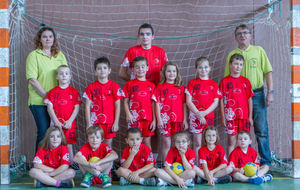 Ecole de Handball : Brienne Handball
Saison 2014-2015