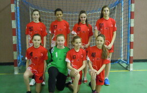 U15 féminines : Brienne Handball
Saison 2016-2017