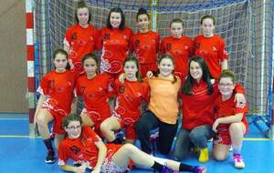 U15 féminines : Lacs Champagne Handball
Saison 2018-2019