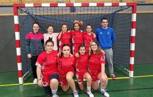U15 féminines : Lacs Champagne Handball
Saison 2019-2020