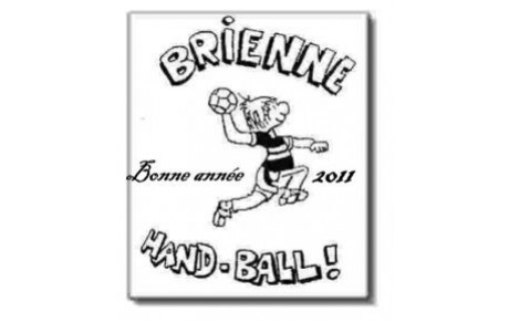 BONNE ANNEE 2011